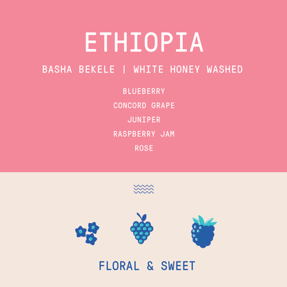 Ethiopia - Basha Bekele | White Honey Washed
