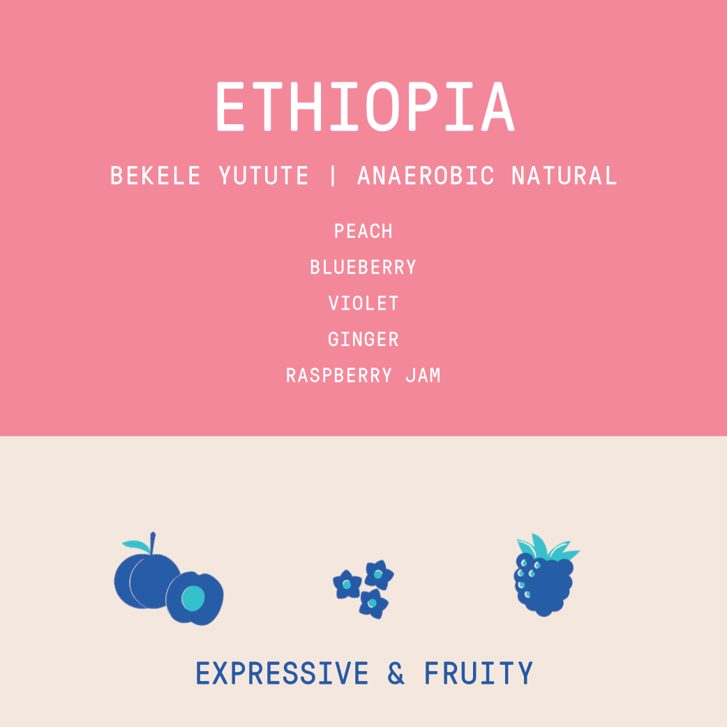 Ethiopia - Bekele Yutute | Anaerobic Natural