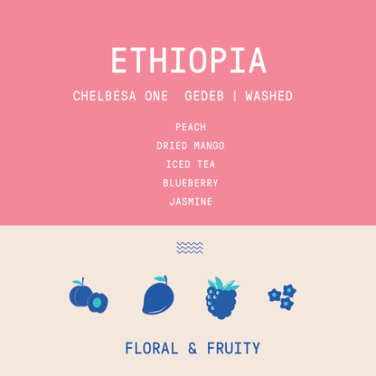 Ethiopia - Chelbesa One Station | Washed