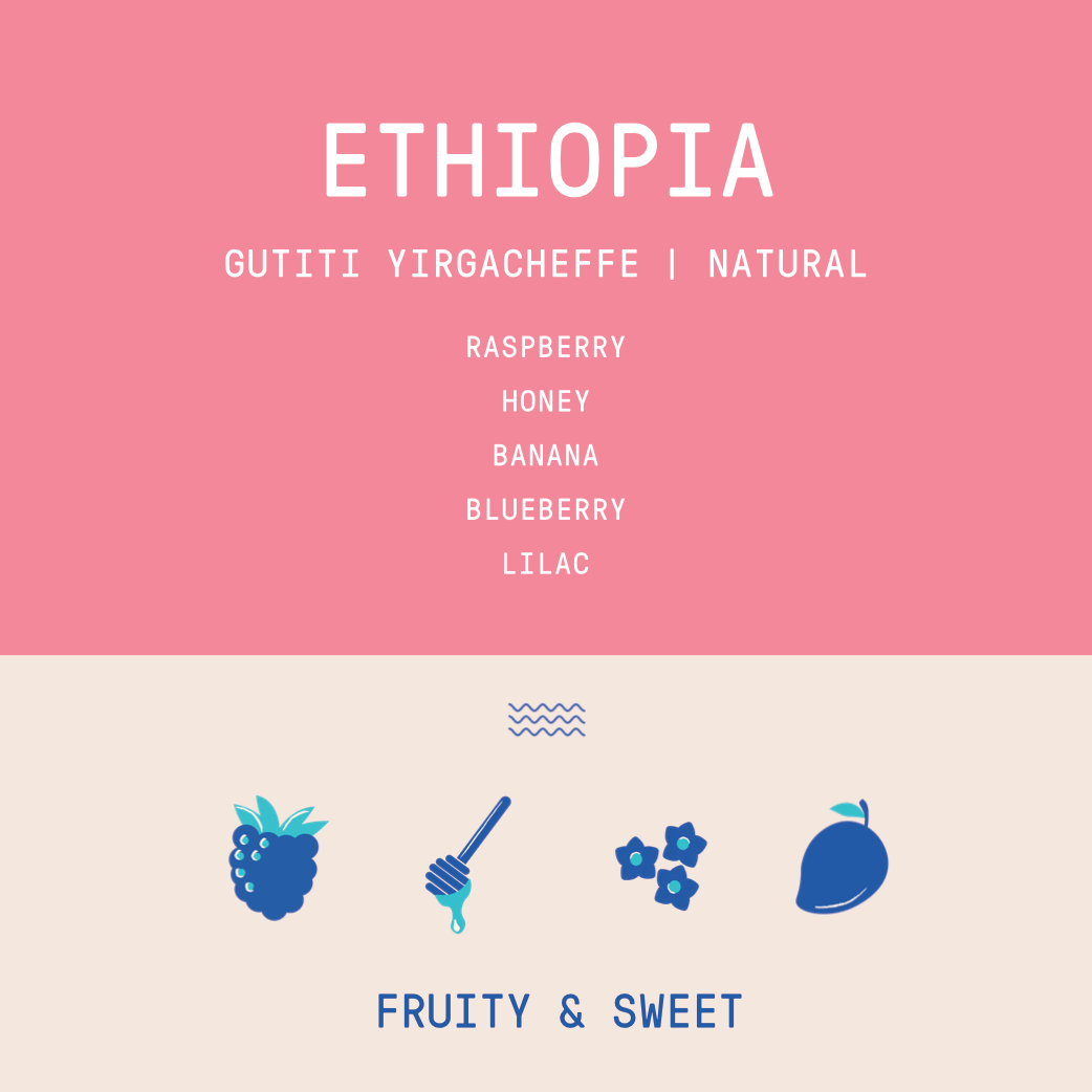 Ethiopia - Gutiti Yirgacheffe | Natural