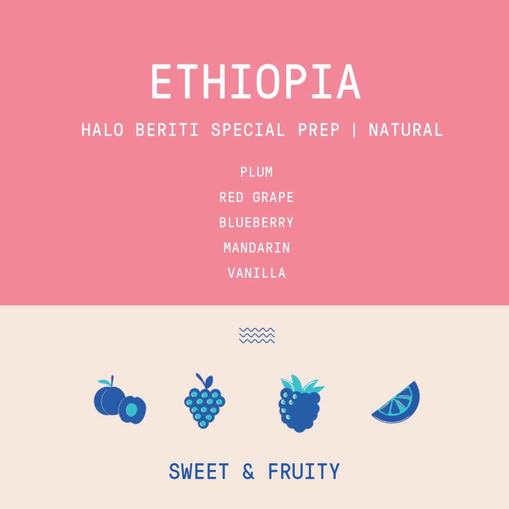 Ethiopia - Halo Beriti | Special Prep Natural