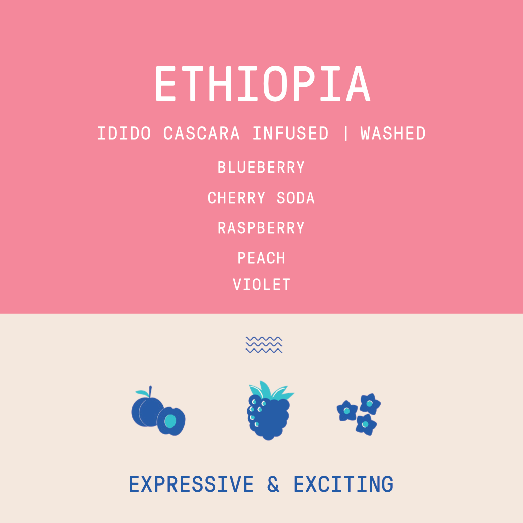 Ethiopia - Idido Cascara Infused | Washed