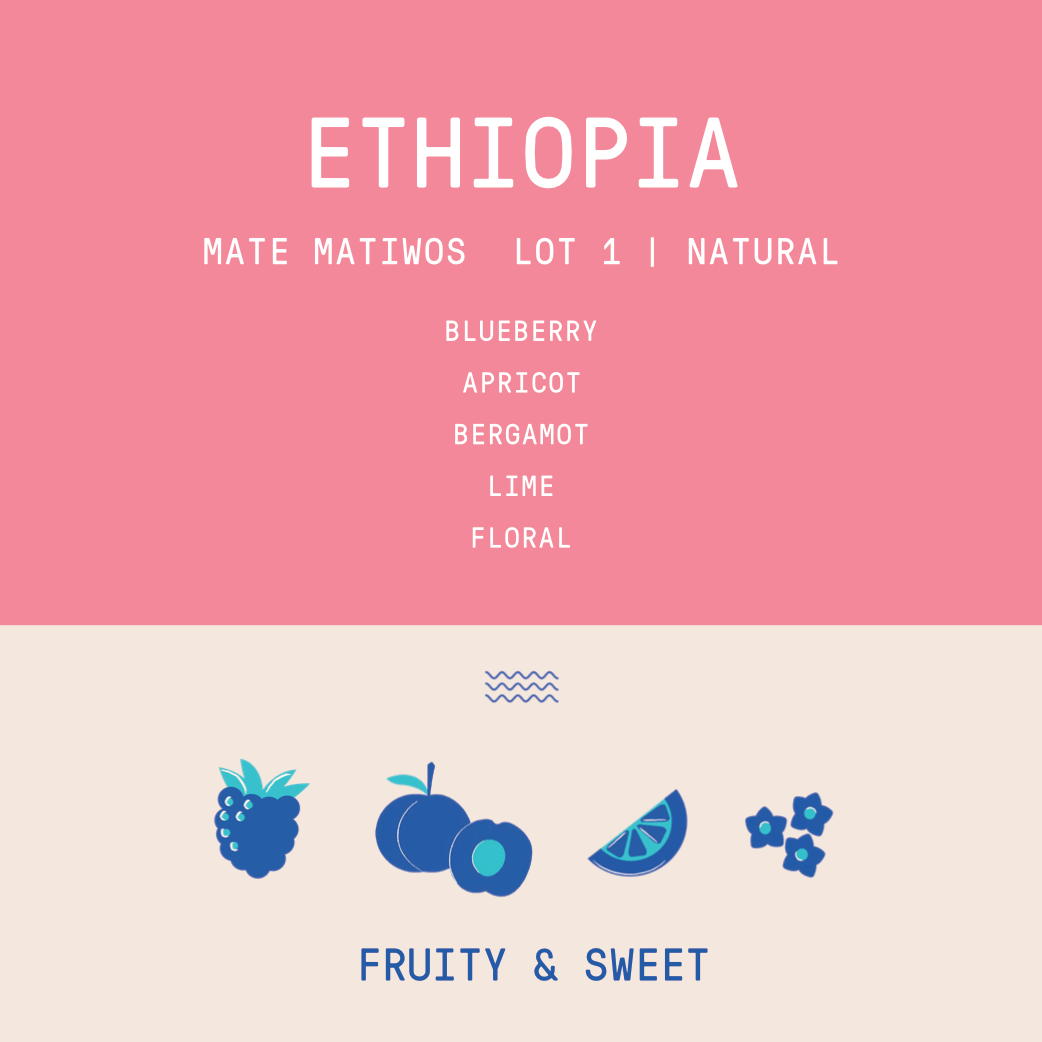 Ethiopia - Mate Matiwos Lot 1 | Natural