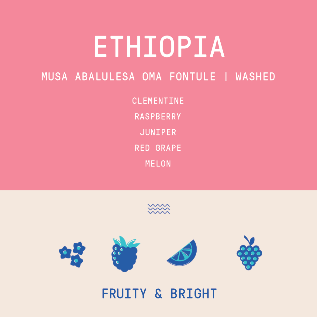 Ethiopia - Musa Abalulesa Oma Fontule | Washed