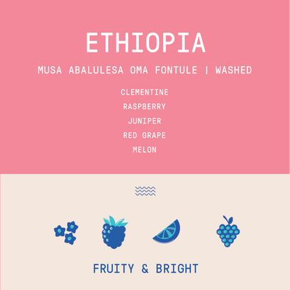 Ethiopia - Musa Abalulesa Oma Fontule | Washed