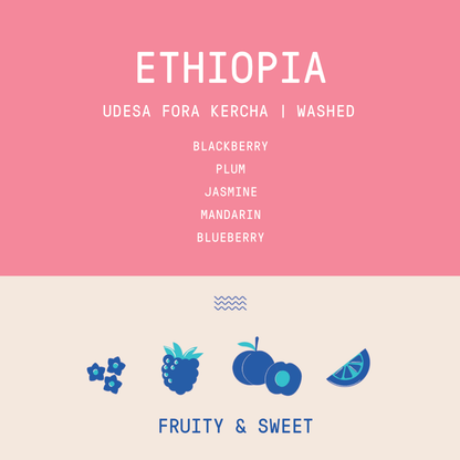 Ethiopia - Udesa Fora Station | Washed
