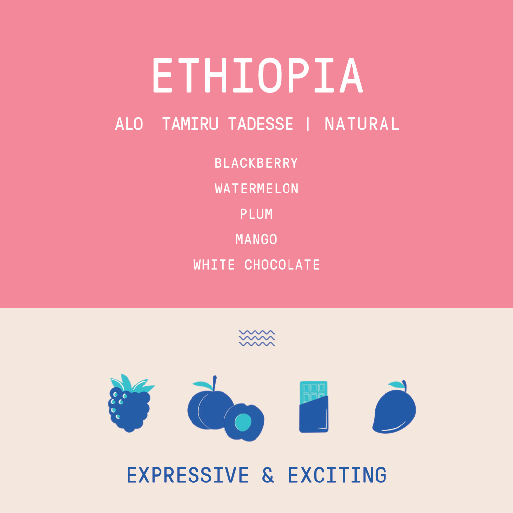 Ethiopia - Alo coffee Tamiru Tadesse | Mosto Natural - 200g