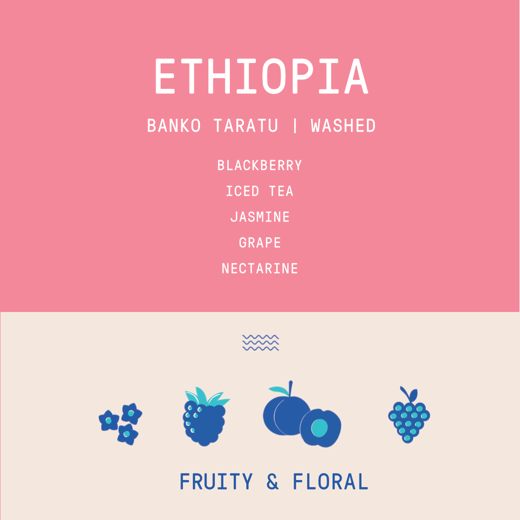 Ethiopia - Banko Taratu Site | Washed