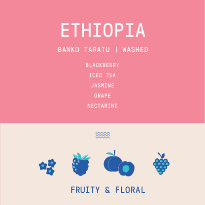 Ethiopia - Banko Taratu Site | Washed