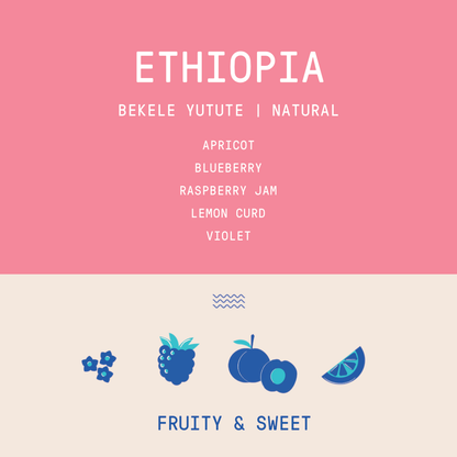 Ethiopia - Bekele Yutute | Natural