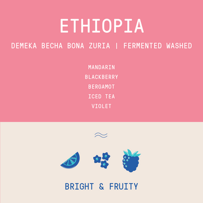 Ethiopia Demeka Becha Bona Zuria coffee details