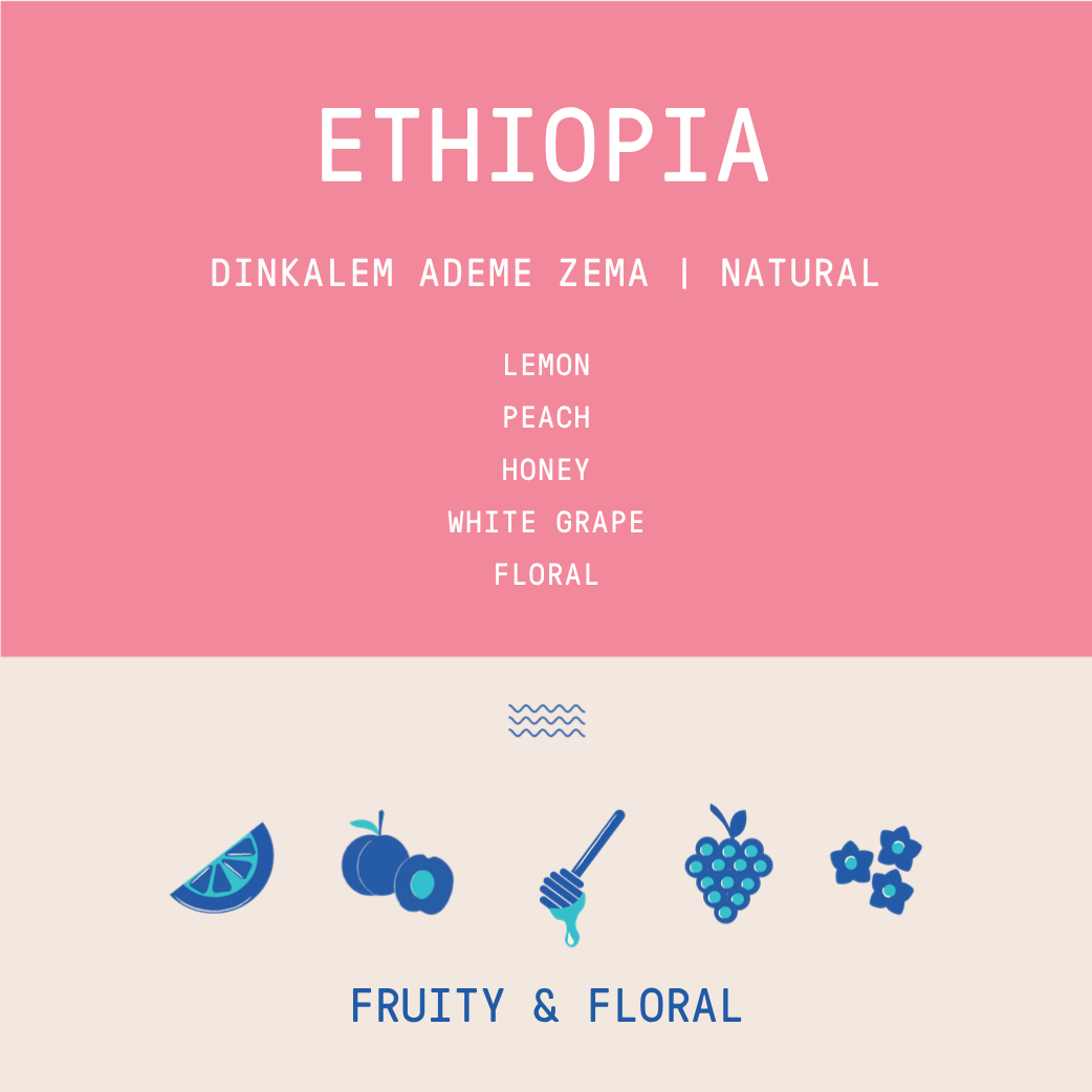 Ethiopia - Dinkalem Ademe Zema | Natural