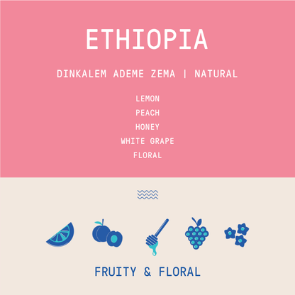Ethiopia - Dinkalem Ademe Zema | Natural