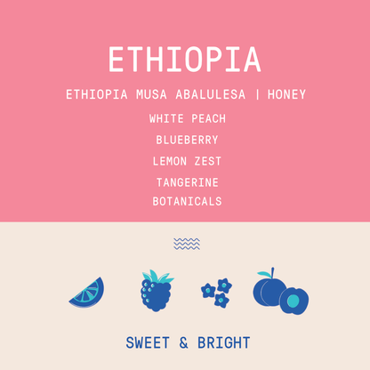Ethiopia - Musa Abalulesa Oma Fontule | Honey Process