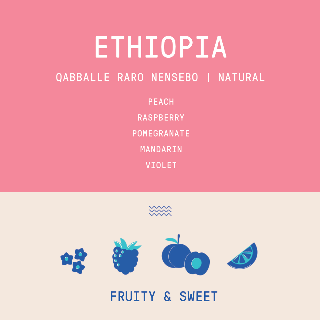 Ethiopia - Qabballe Raro Nensebo | Natural