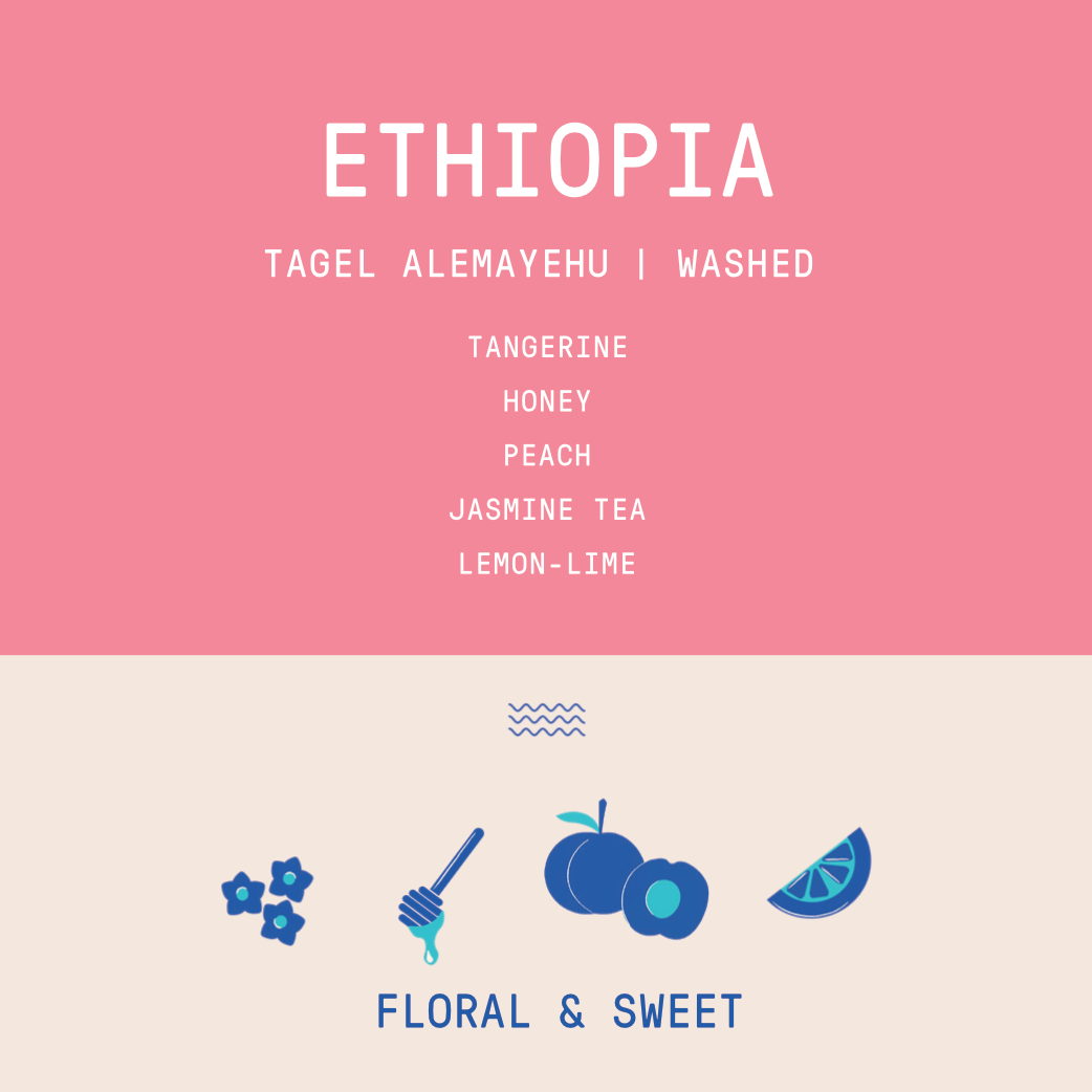 Ethiopia - Tagel Alemayehu Hambela Site | Washed