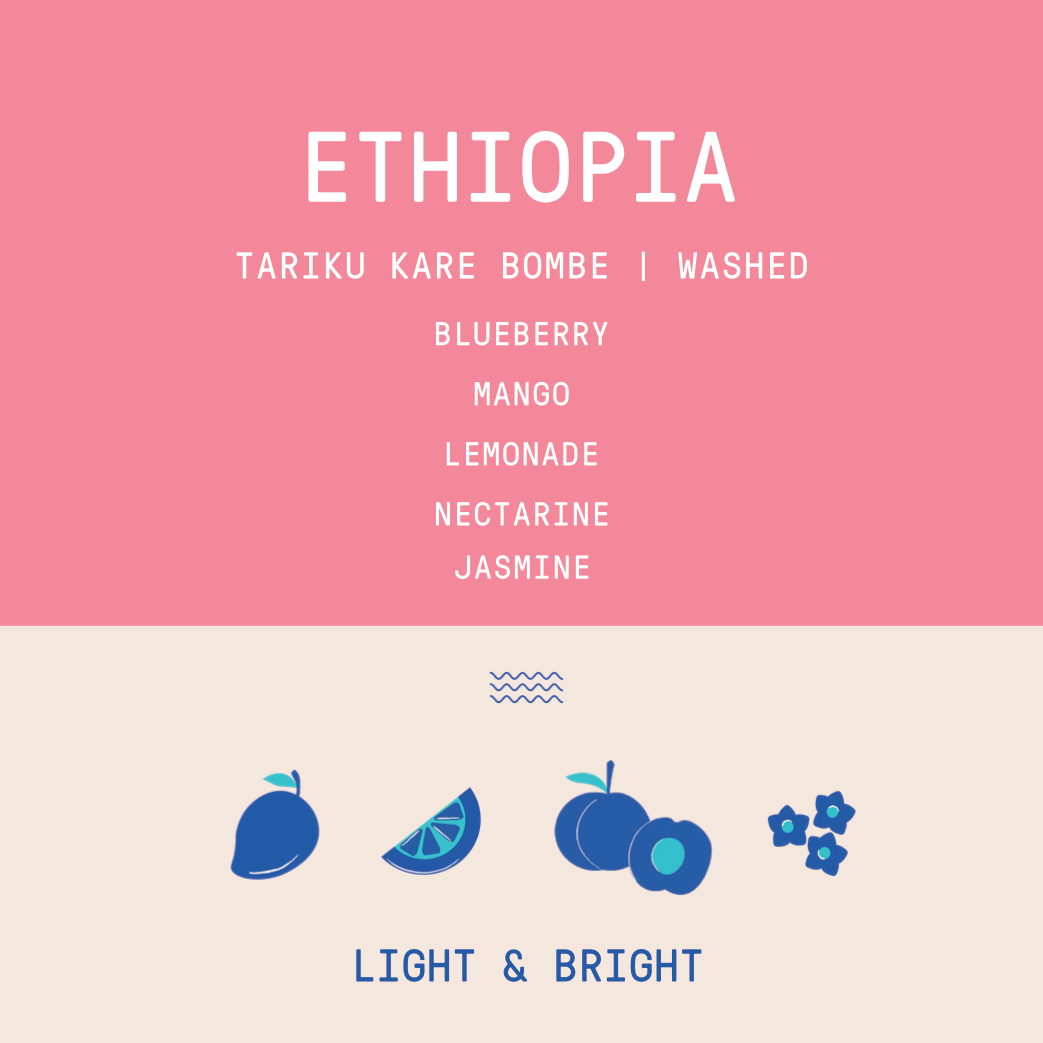 Coffee flavour profile with icons and text on a pink and beige background