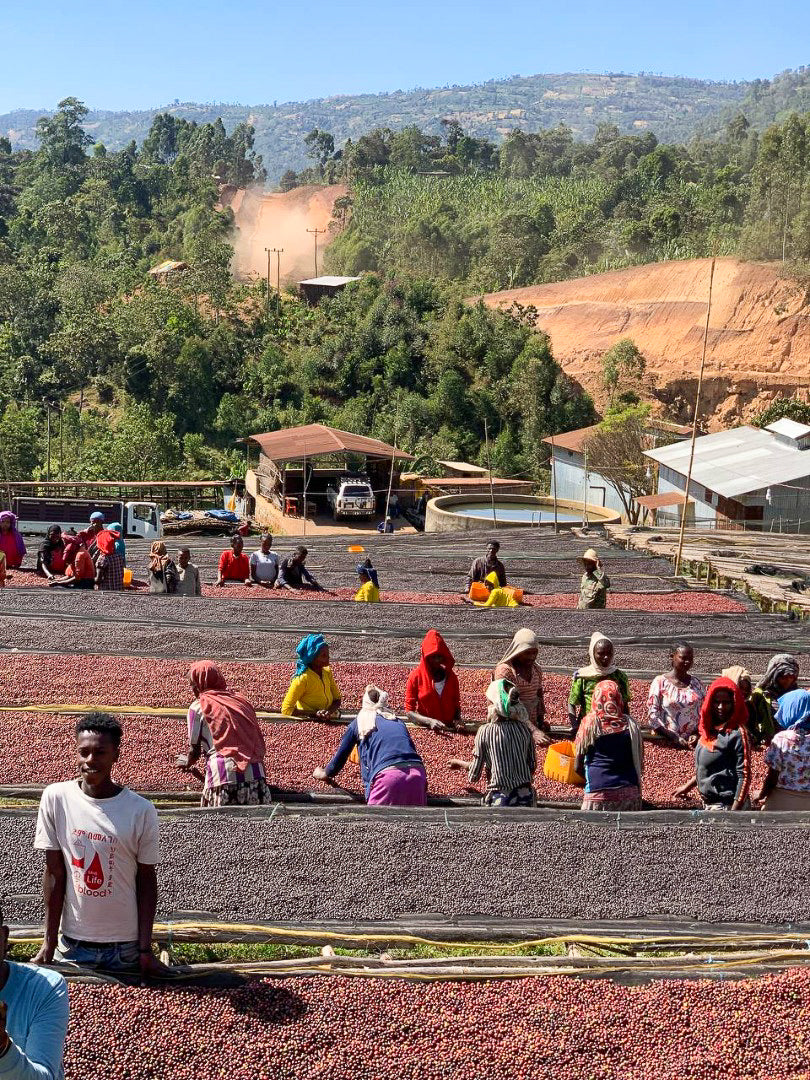 People working at an open-air washing station with a scenic background of greenery and hills.