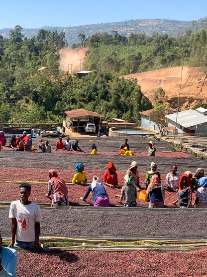 People working at an open-air washing station with a scenic background of greenery and hills.