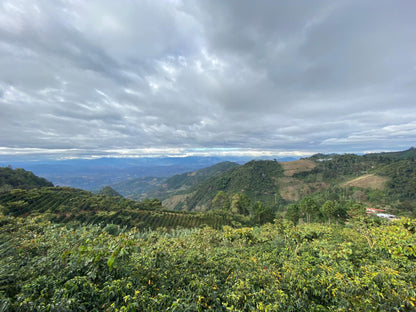 Guatemala - Farms of Sierra de las Minas | Washed