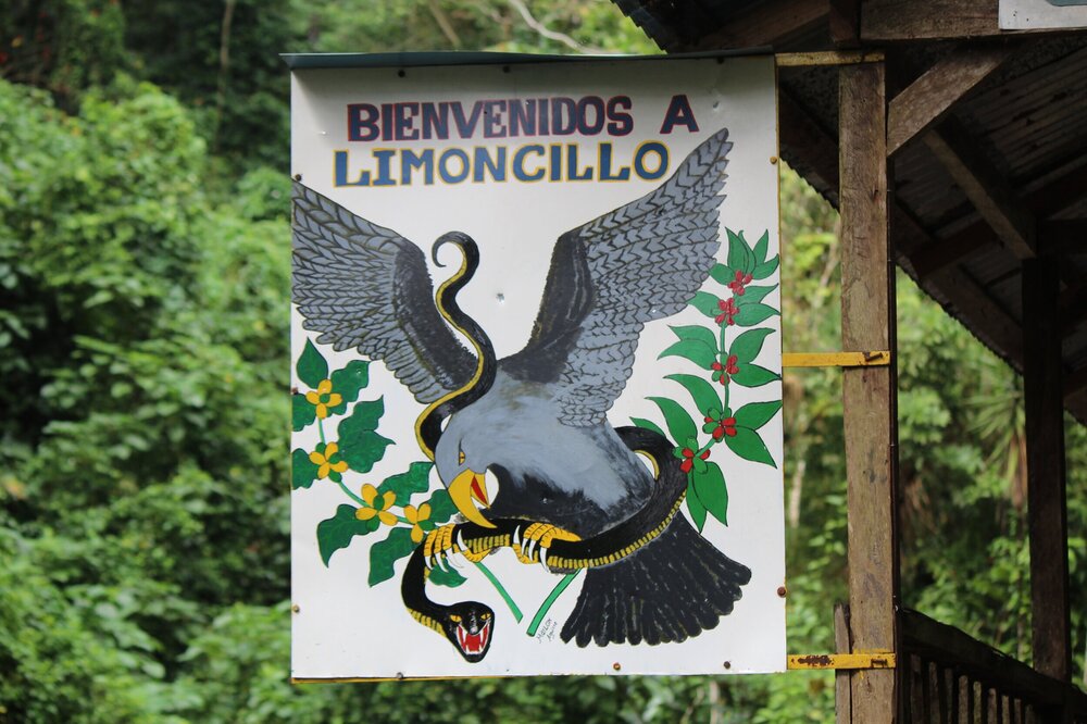 Nicaragua  - El Limoncillo Fincas Mierisch | Yellow Pacamara Natural - 150g