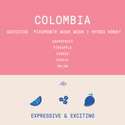 Colombia - Las Gaviotas Piedmonte Farm | Wush Wush Hydro Honey - 150g