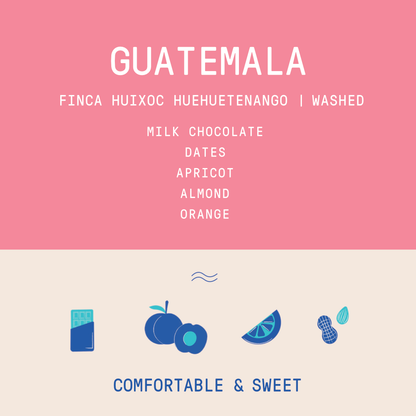Guatemala - Huixoc Huehuetenango | Washed - Archived