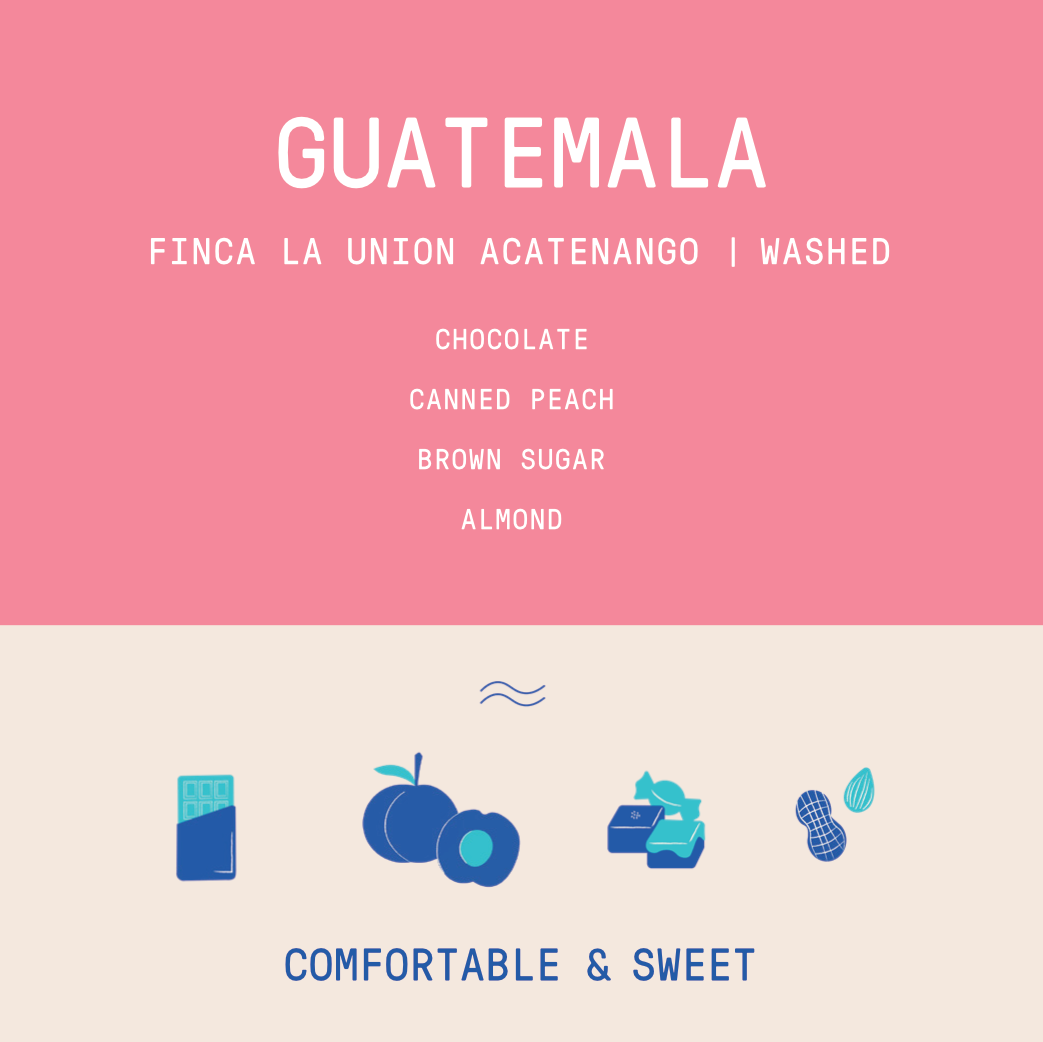 Guatemala - La Union Acetenango | Washed