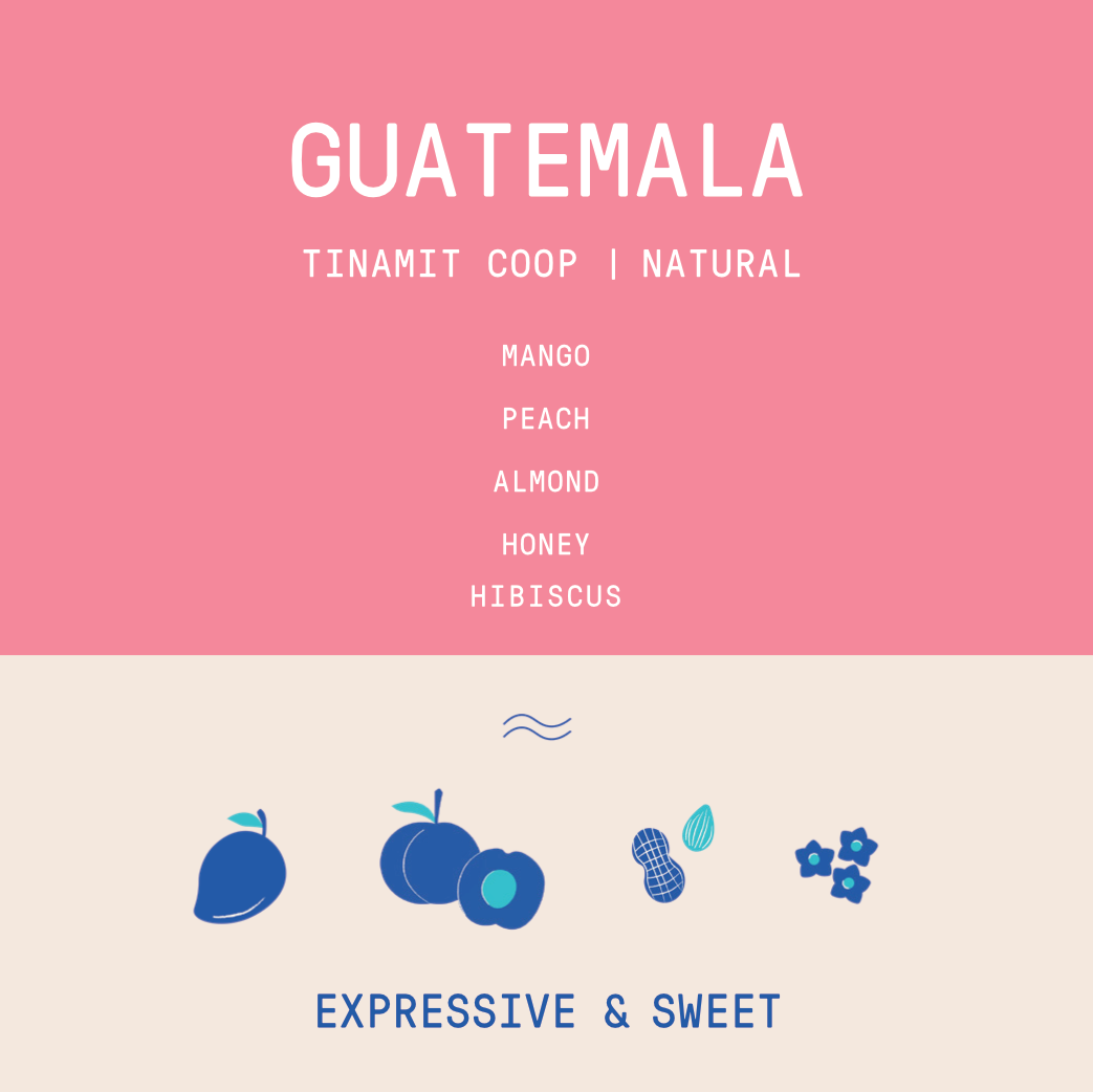 Guatemala - Tinamit Coop | Natural