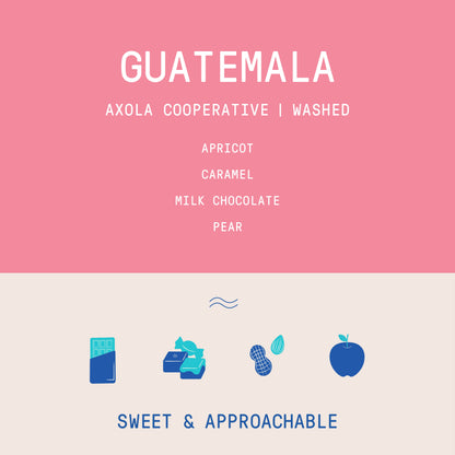 Guatemala - Axola Cooperative Manos de Mujer | Washed - Archived