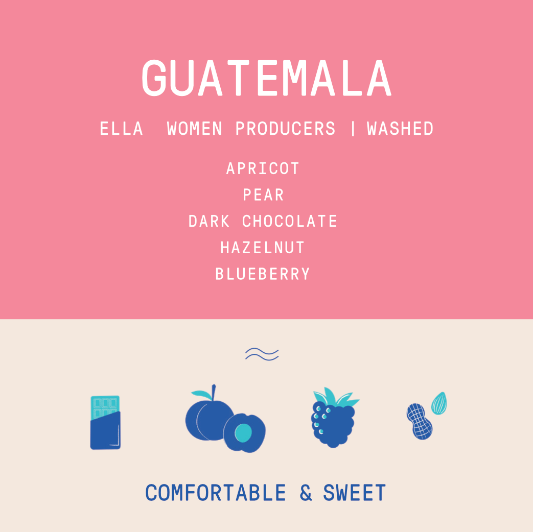 Guatemala - ELLA Women Producers | Washed