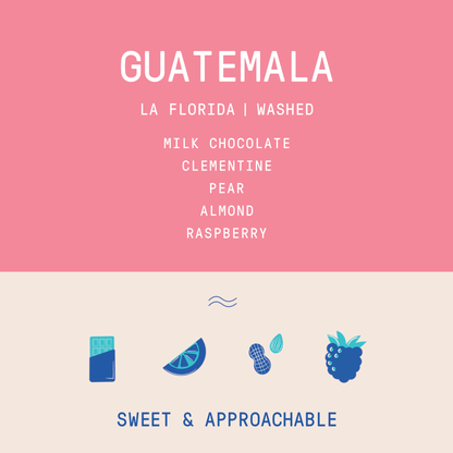 Guatemala - La Florida | Washed - Archived