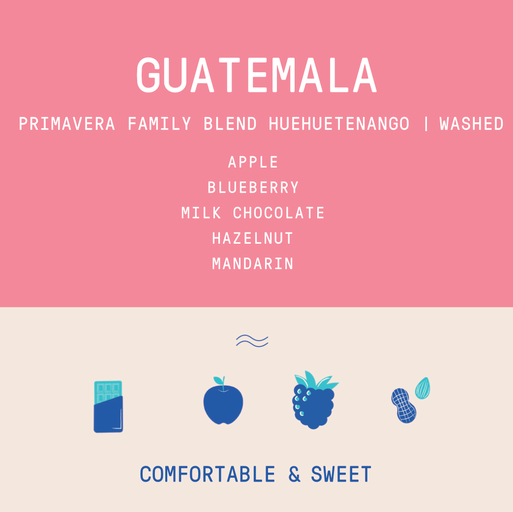 Guatemala - Huehuetenango Primavera Family Lot (2026) | Washed