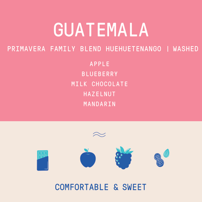 Guatemala - Huehuetenango Primavera Family Lot (2026) | Washed