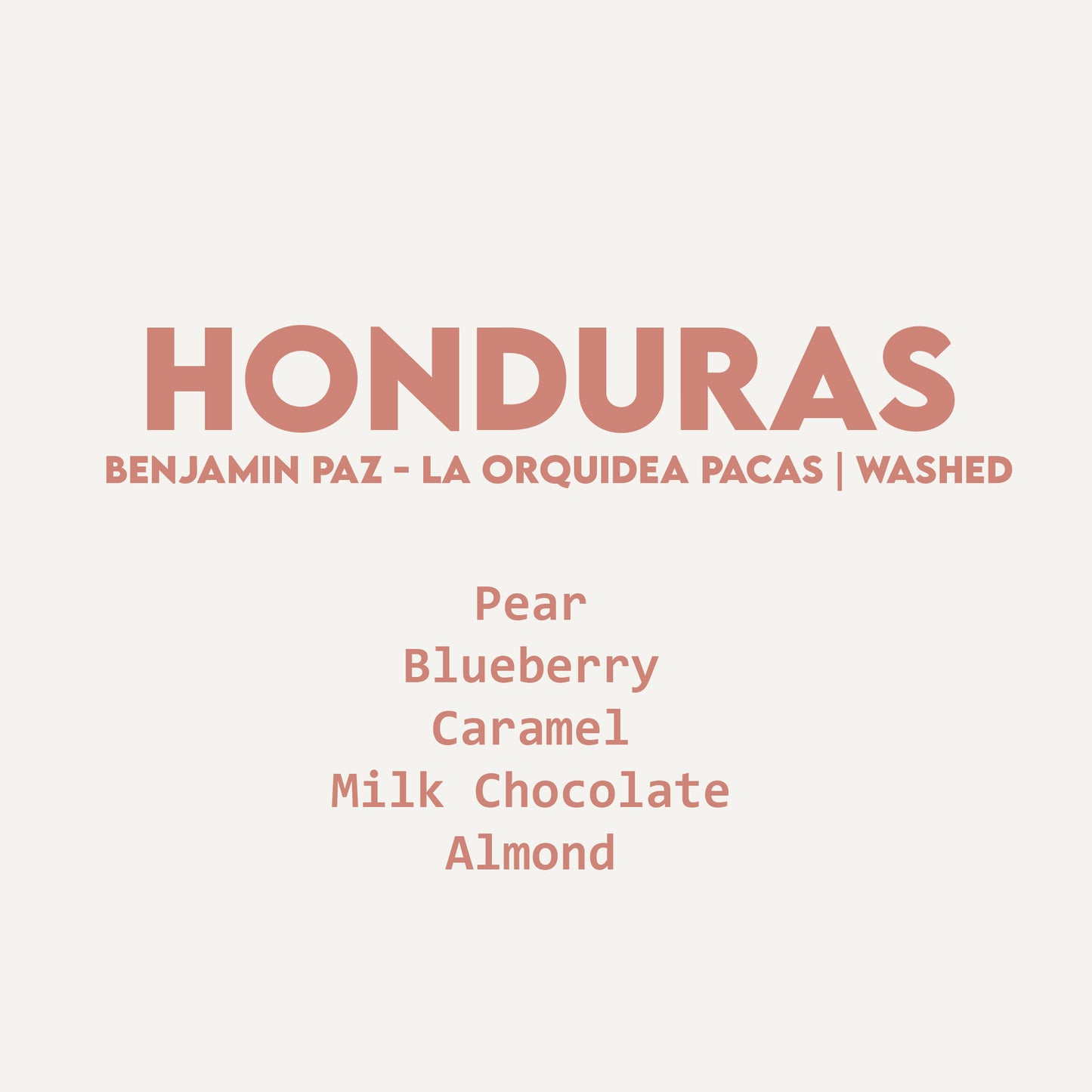 Honduras - Benjamin Paz - La Orquidea Pacas | Washed