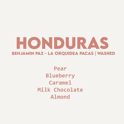 Honduras - Benjamin Paz - La Orquidea Pacas | Washed