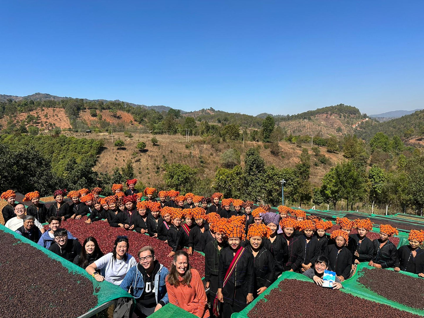 Myanmar - Behind The Leaf | Wa Lee Village - Anaerobic Honey