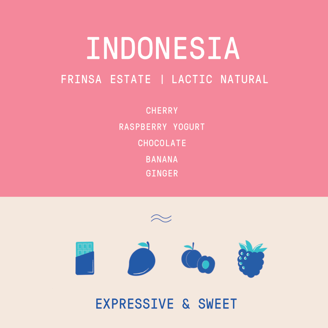 Indonesia - Java Frinsa Estate | Lactic Natural