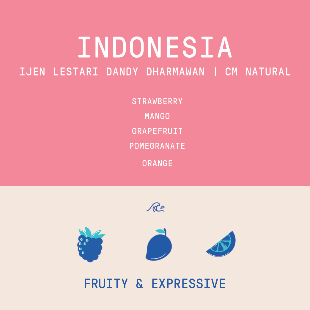 Indonesia - Ijen Lestari Dandy Dharmawan | CM Natural Lot 98 -  Nano Lot  - 100g - Archived