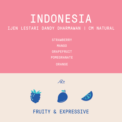 Indonesia - Ijen Lestari Dandy Dharmawan | CM Natural Lot 98 -  Nano Lot  - 100g - Archived