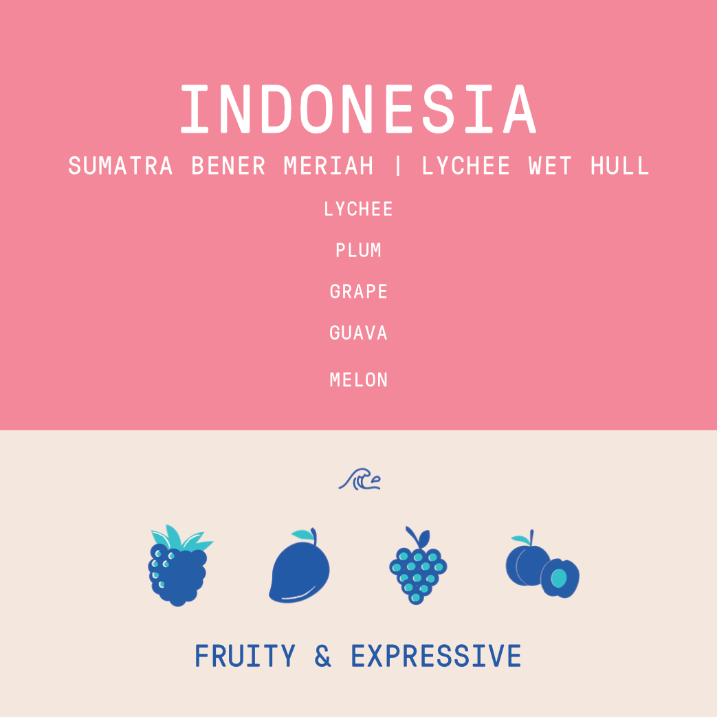 Indonesia - Sumatra Bener Meriah | Lychee Coferment Wet Hull