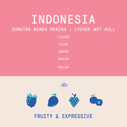 Indonesia - Sumatra Bener Meriah | Lychee Coferment Wet Hull