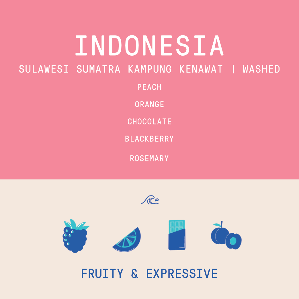 Indonesia - Sumatra Kampung Kenawat | Washed