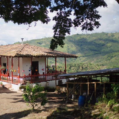 Colombia - Finca Milán | "Logan" Culturing Co-Fermented Washed