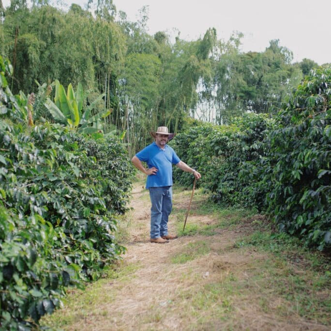 Colombia - Finca Milán | "Logan" Culturing Co-Fermented Washed