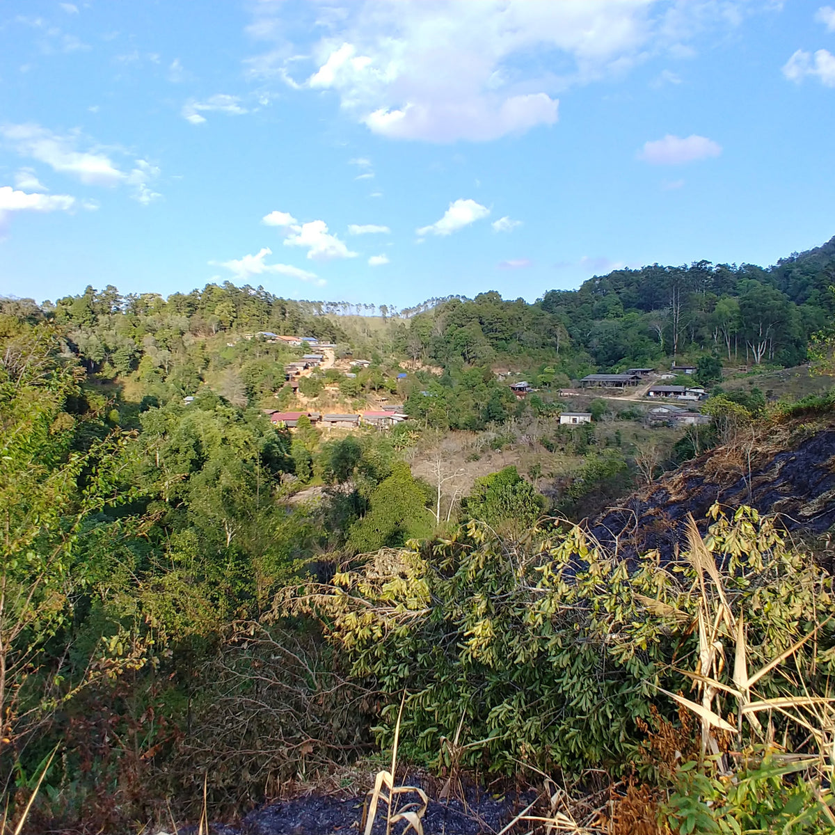 Karen Farm landscape