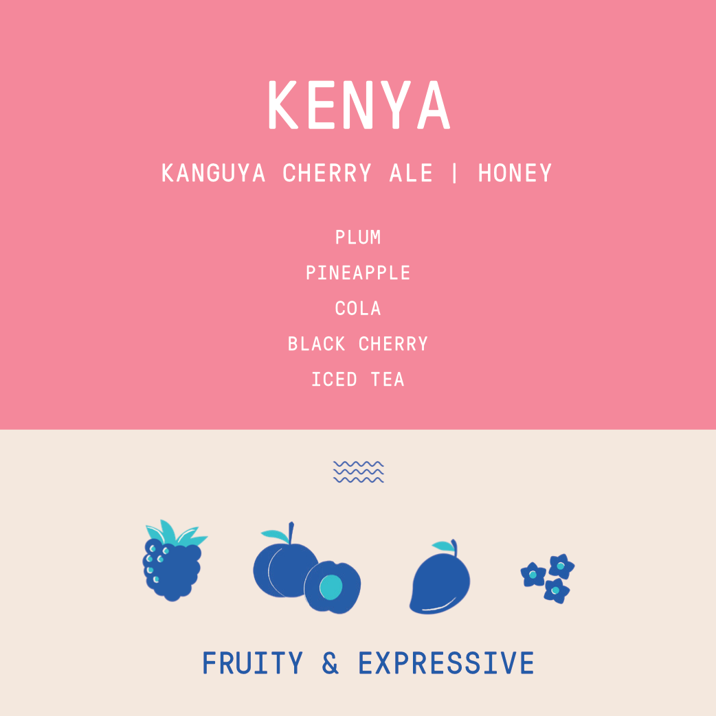 Kenya - Kanguya Cherry Ale | Black Honey