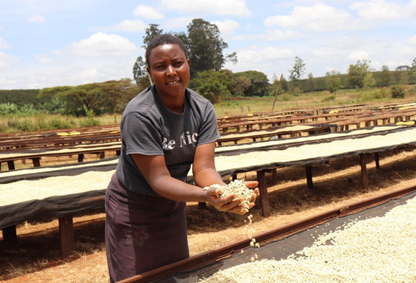 Kenya - Mchana Estate | Natural