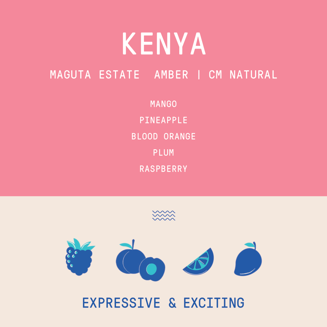 Kenya - Project Origin Maguta Estate Amber Lot 196| CM Natural - 100g