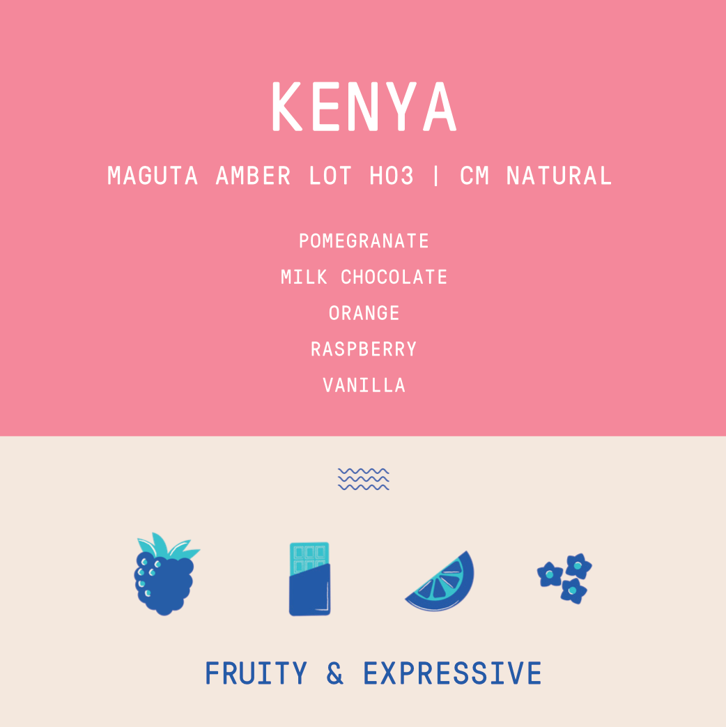Kenya - Project Origin Maguta Estate Amber Lot H03 | CM Natural - 100g